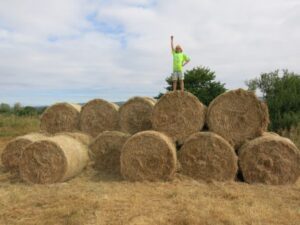 Haystack, Glastonbury