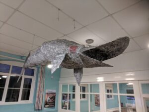 Papier mache shark, Slapton, Group Accommodation