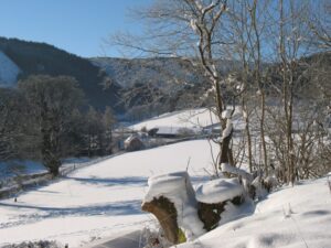 Abbeycwmhir in the snow, Wales