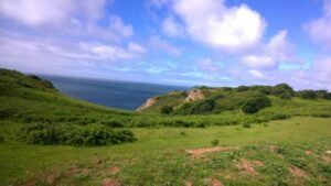 Swansea Coast