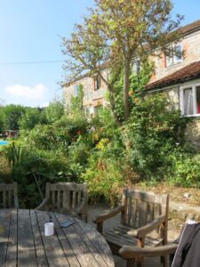 Farmhouse garden, Paddington FArm, Glastonbury, large group accommodation