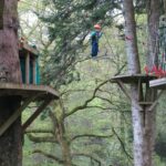 River Dart Country Park, high ropes, budget travel