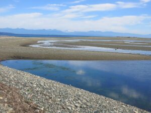 Parksville Beach, BC, Canadian road trip with kids, Things to do in Parksville