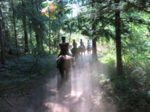 Horse riding Errington Canadian road trip with kids, things to do in Parksville