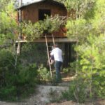 Boy being rescued from tree house, Barcelona,travel tales