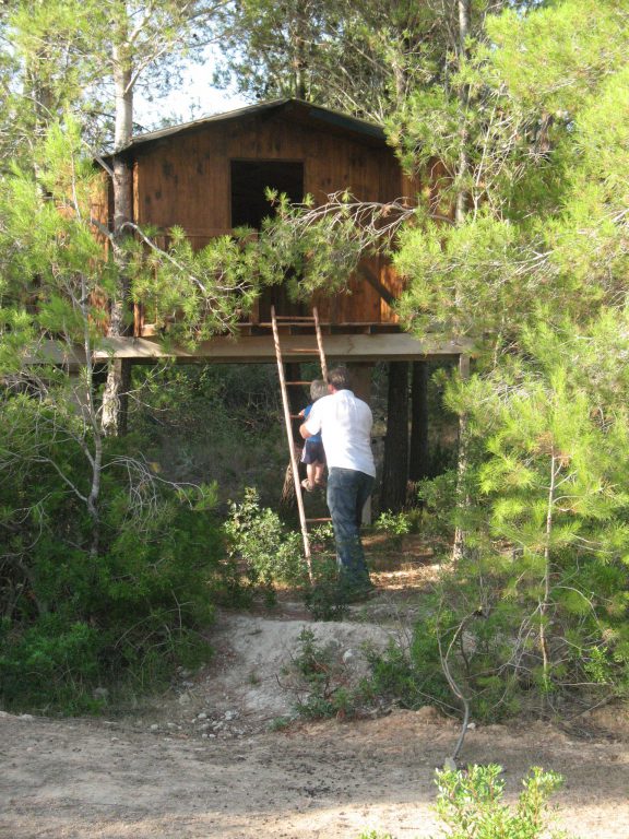 Boy being rescued from tree house, Barcelona,travel tales