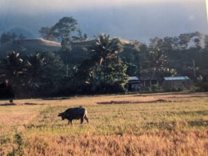 Ubud ideas for bucket lists