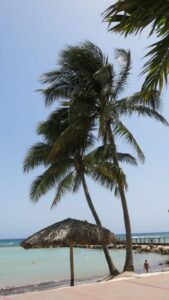 Hilton Resort Beach, Montego Bay, Jamaica photography