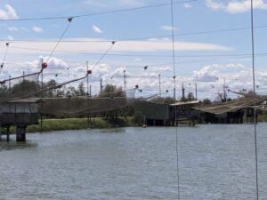 Eel fisheries, Po Delta, Venice with kids