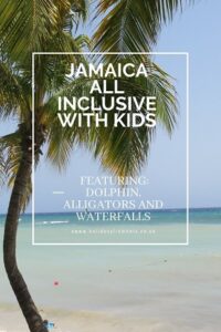 Jamaica palm, Jamaica with kids, travel tales