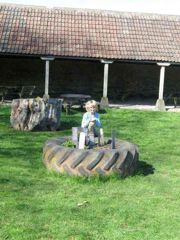 Tractor tyre toy, Dereham Park,, things to do in Bristol with kids in lockdown