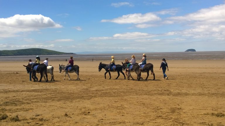 Donkey rides, Weston Super Mare beach,, things to do in Bristol with kids in lockdown