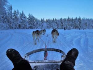 Dog sledding, Lapland, Bucket list ideas
