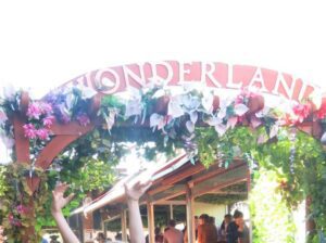 Wonderland cafe, Camden, things to do in London with teens