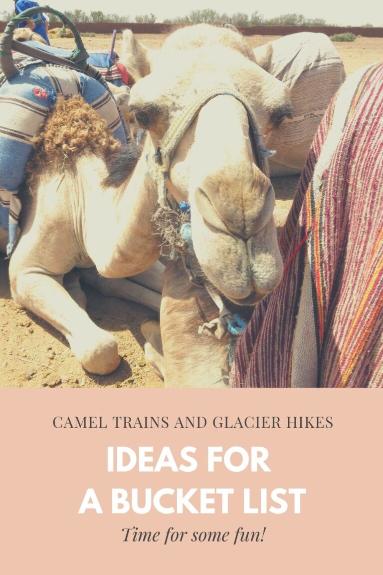 ideas for a bucket list - camel train