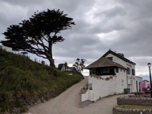 Pilchard, Bigbury on Sea