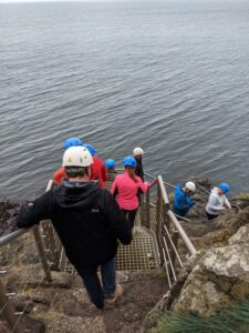 Te Gobbins cliff path, road trip Northern Ireland