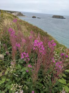 Carrick-a-Rede road trip Northern Ireland