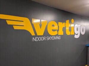 Vertigo flight simulator