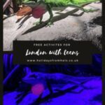 London with teens pin lizard