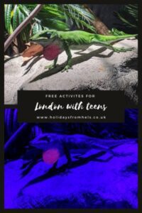 London with teens pin lizard