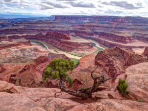 Dead Horse point Photo by Dulcey Lima on Unsplash