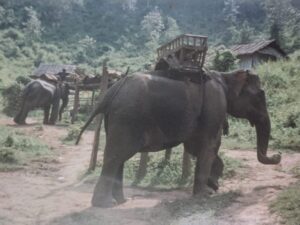 Elephant Ride Chiang Mai, Thailand, ideas for bucket lists