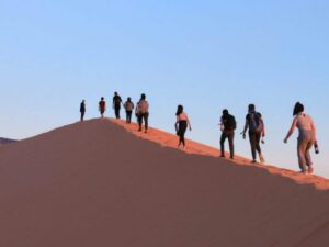 Coral Dunes National Park by Joshua Sukoff on Unsplash