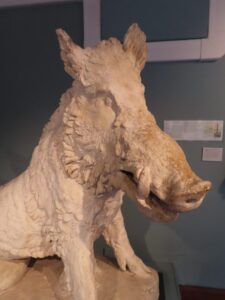 Stone Boar, Ashmolean Museum, Oxford with kids