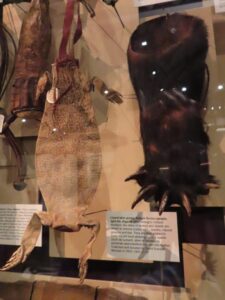 Lizard and bear purse, Pitts River Museum, Oxford with kids