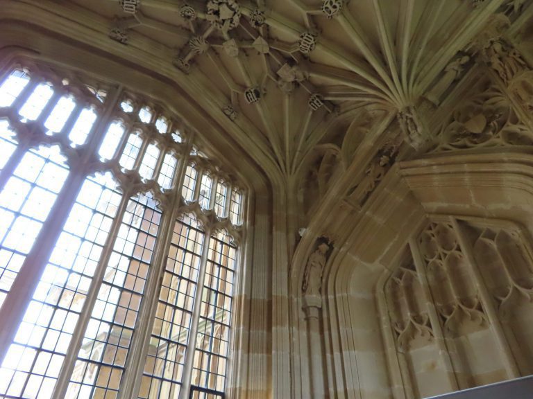 Divinity lecture theatre/ celebrity hospital, Bodleian Library, Oxford with kids