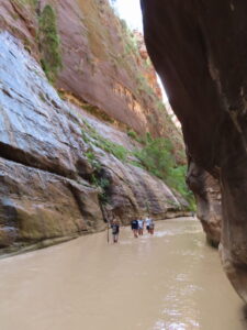 Zion National Park, USA road trip with teens