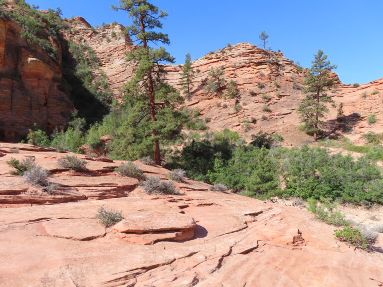 Zion National Park, USA road trip with teens