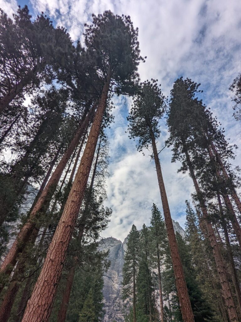 Yosemite National Park, USA road trip with teens