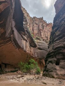 Zion Narrows. USA road trip with teens