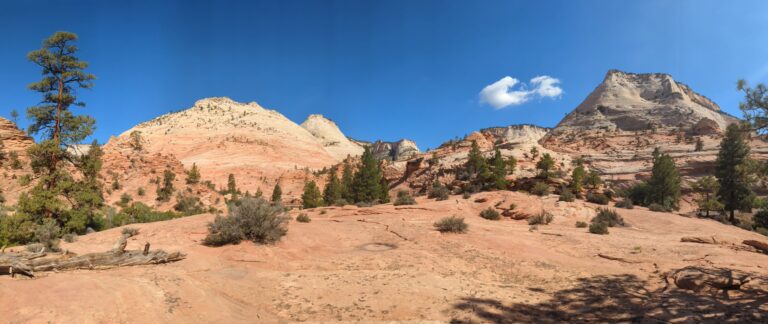 Zion, USA road trip with teens