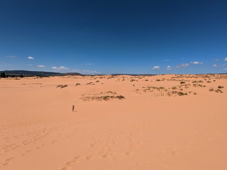 Coral dunes, USA road trip with teens