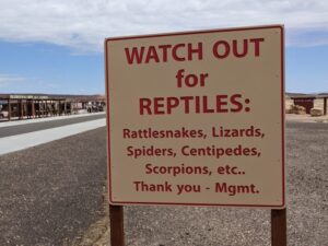 Reptile sign, USA road trip with teens