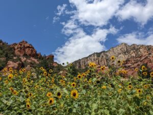 Slide Rock Park, Sedona, USA road trip with teens