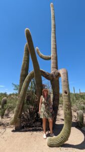 Cacti, Saguaro national park, USA road trip with teens