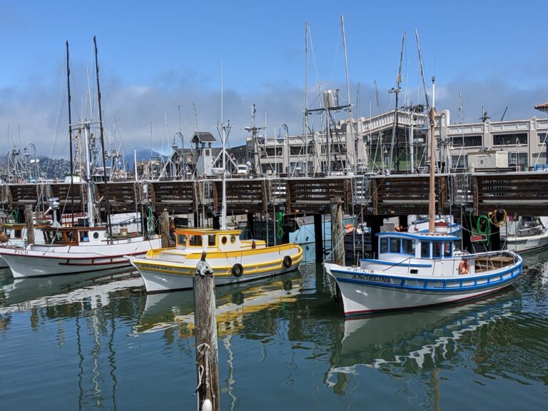 San Francisco Bay, things to do in San Francisco wit teens