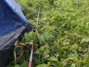 Staff campsite, Boardmasters,