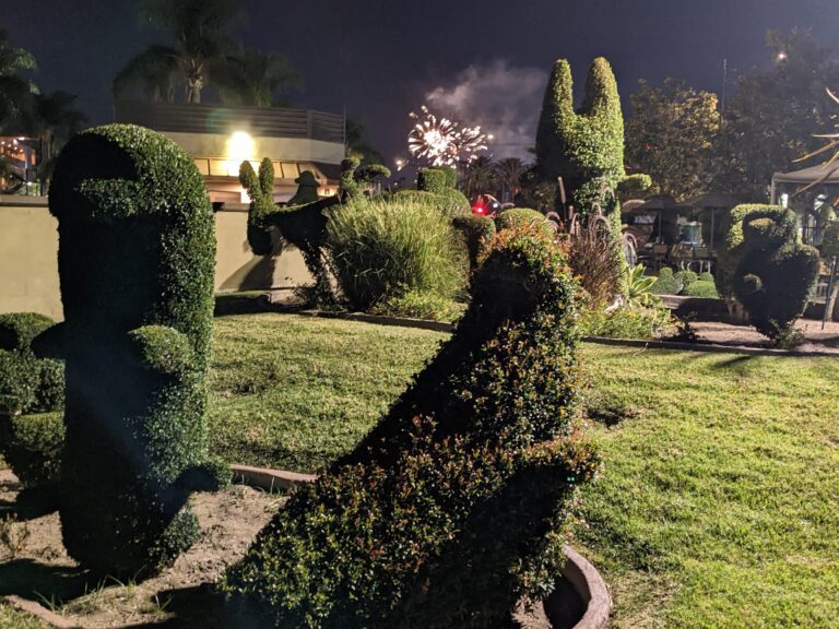 16 valuable tips for Disney with teens 8 Poolside Topiary