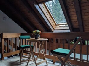 Apartment, Titisee Schwartzwald winter holiday