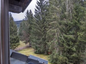 Apartment, Titisee Schwartzwald winter holiday