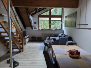 Apartment, Titisee Schwartzwald winter holiday