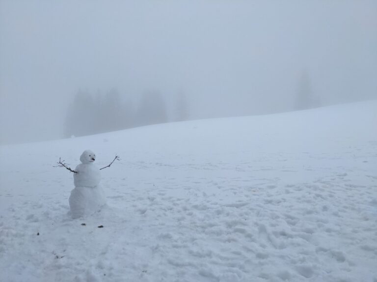 Snowman, Schwarztwald winter holiday