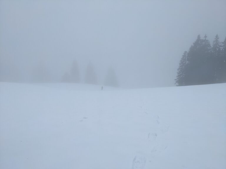 Snow shoeing, Schwartzwald winter holiday