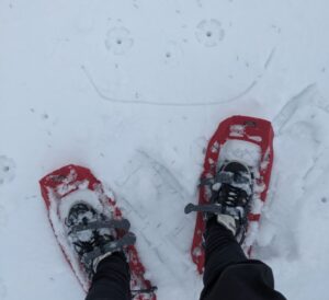 Snow shoe, Schwartzwald winter holiday