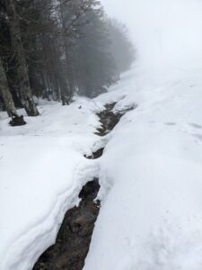 Black Forest in the snow, Schwartzwald winter